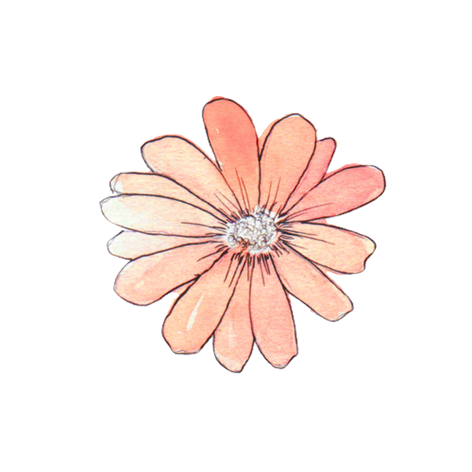 Download High Quality flowers transparent overlay Transparent PNG