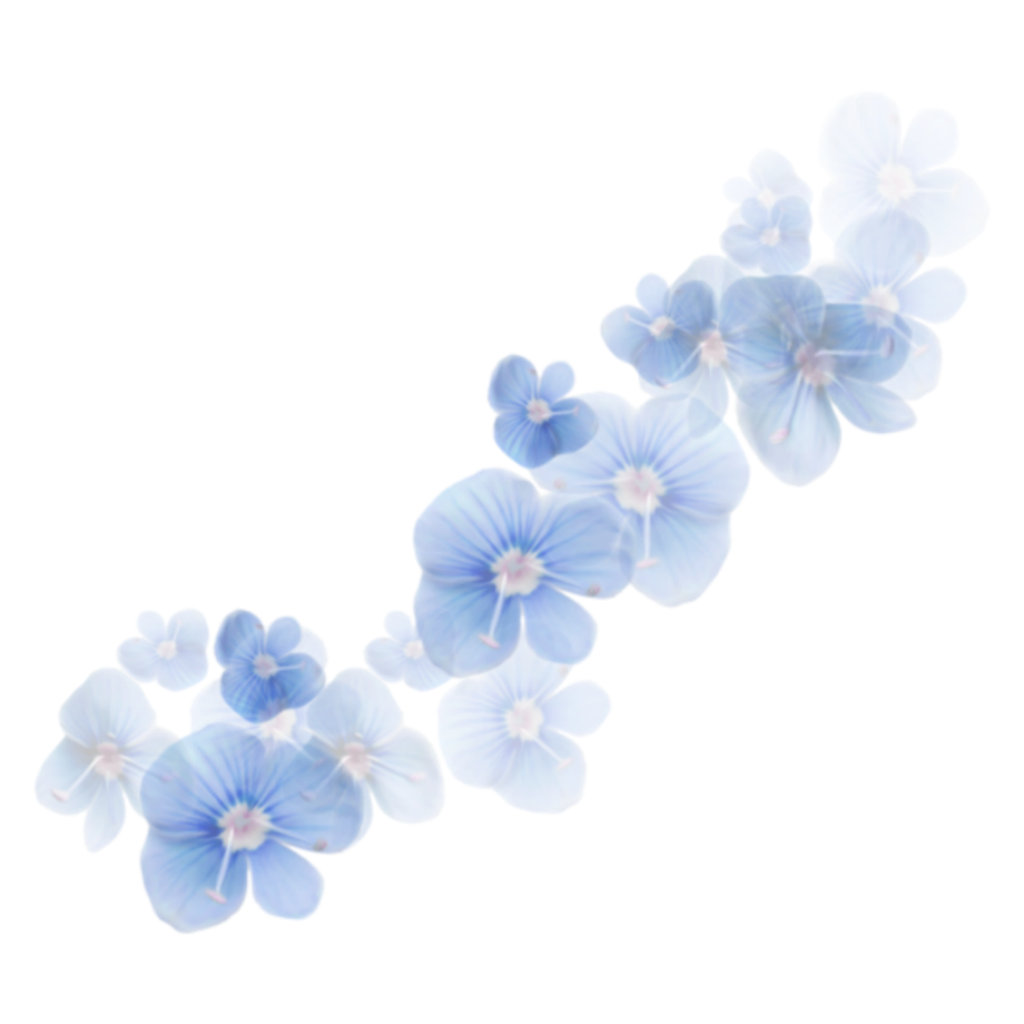 flower transparent blue