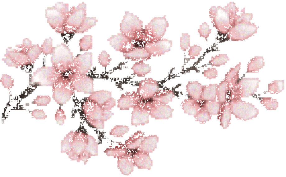 transparent flowers pixel