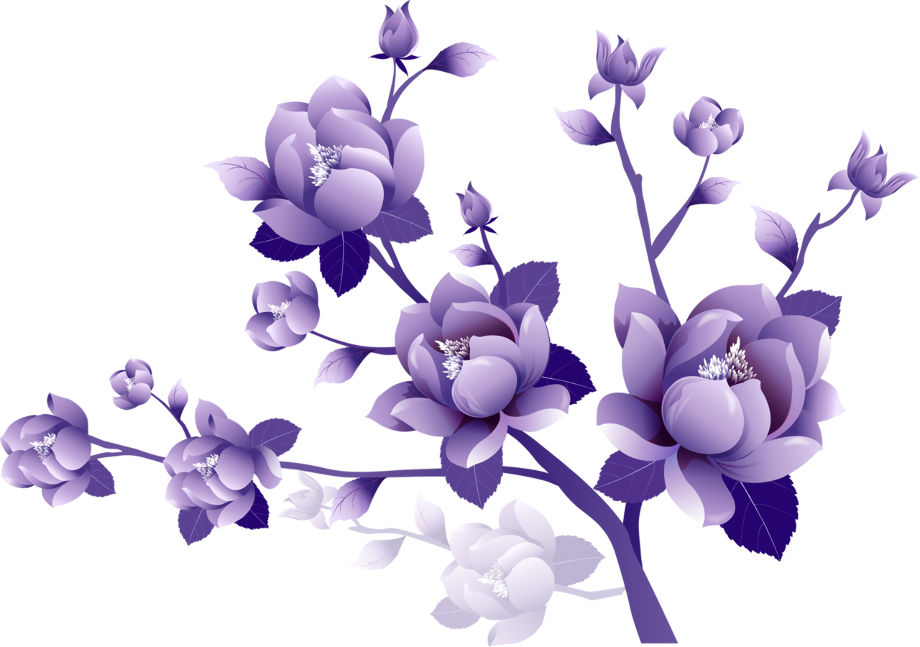 flowers transparent background lavender