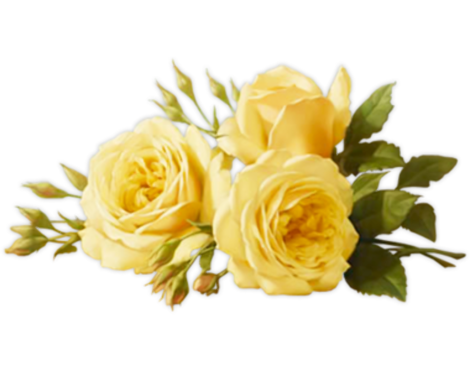 Download High Quality flowers transparent yellow Transparent PNG Images