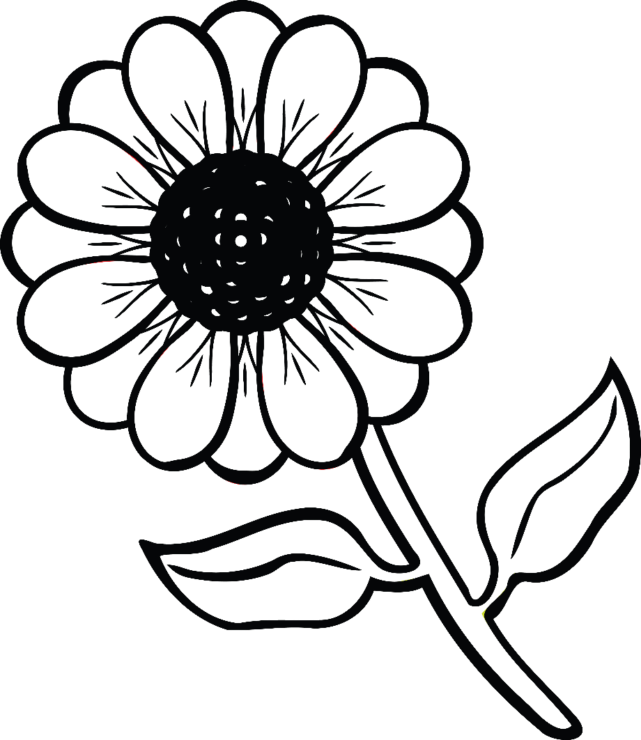 black and white flower clipart daisy