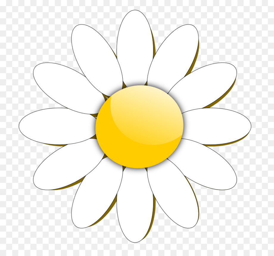 Download High Quality flowers clipart daisy Transparent PNG Images ...