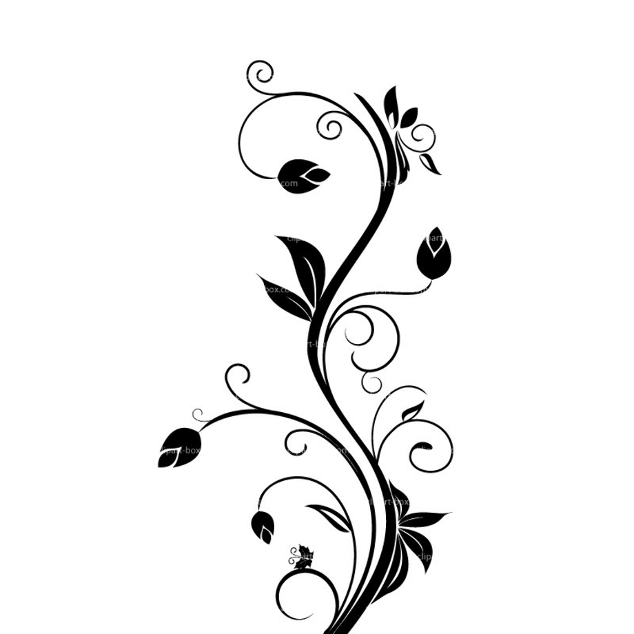 black and white flower clipart vector