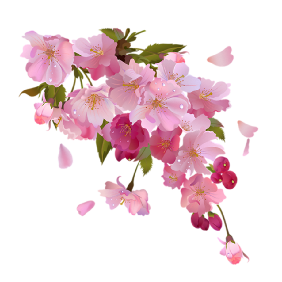 Download High Quality flowers transparent background pastel Transparent