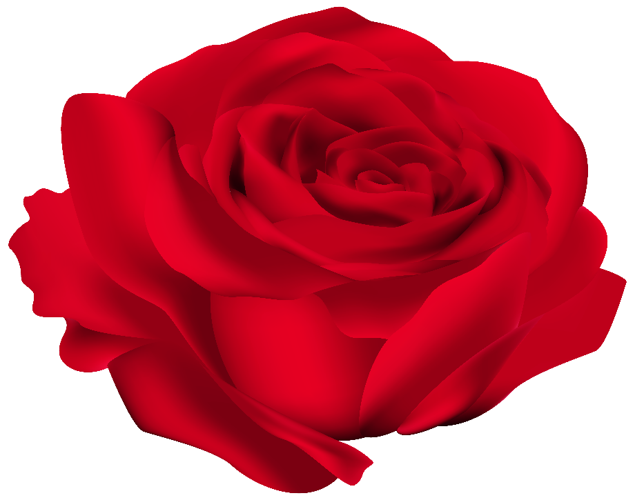 Download High Quality flowers transparent red Transparent PNG Images