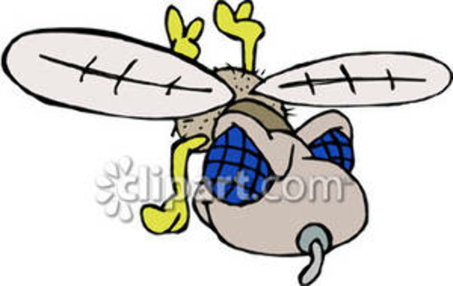 fly clipart angry