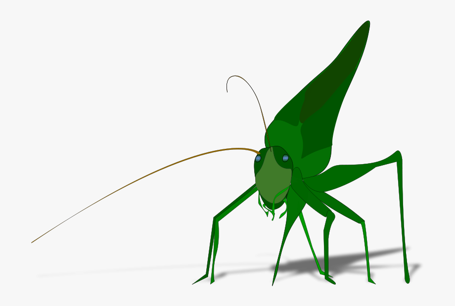 fly clipart grasshopper