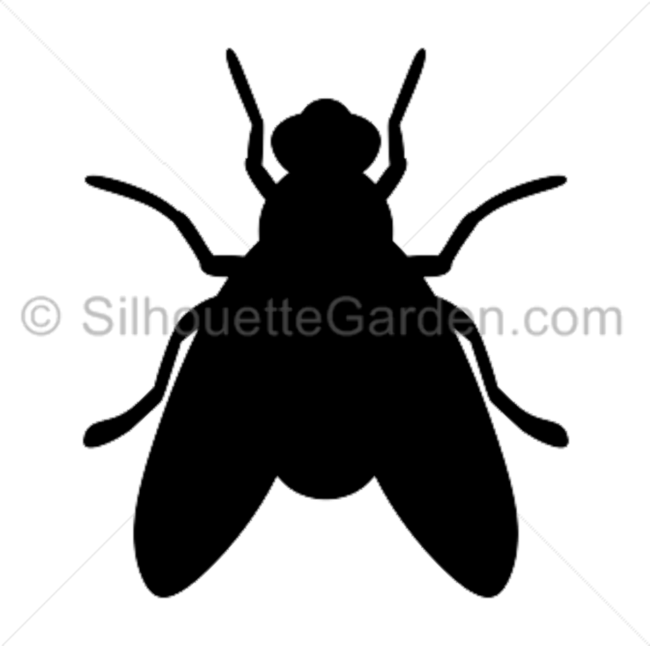fly clipart silhouette