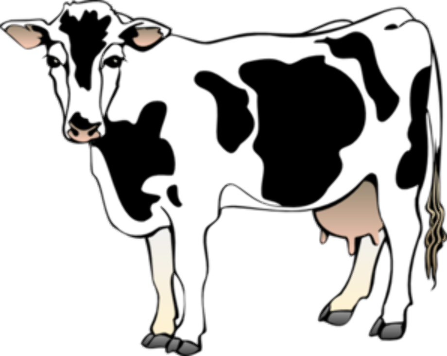 cow clipart transparent background