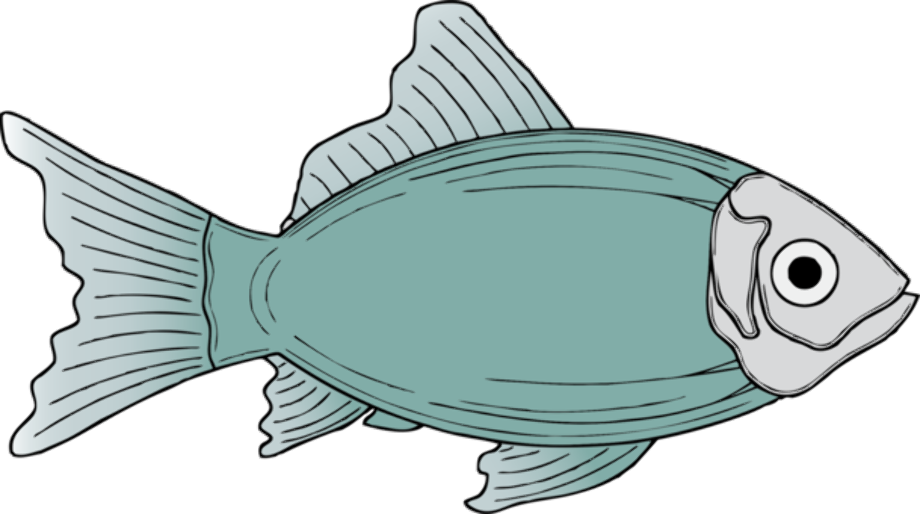 Download High Quality Food clipart fish Transparent PNG Images - Art