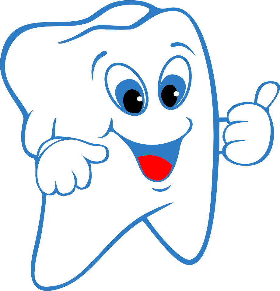 tooth clipart vector