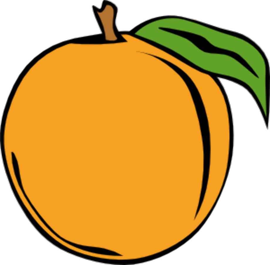 orange clipart vector