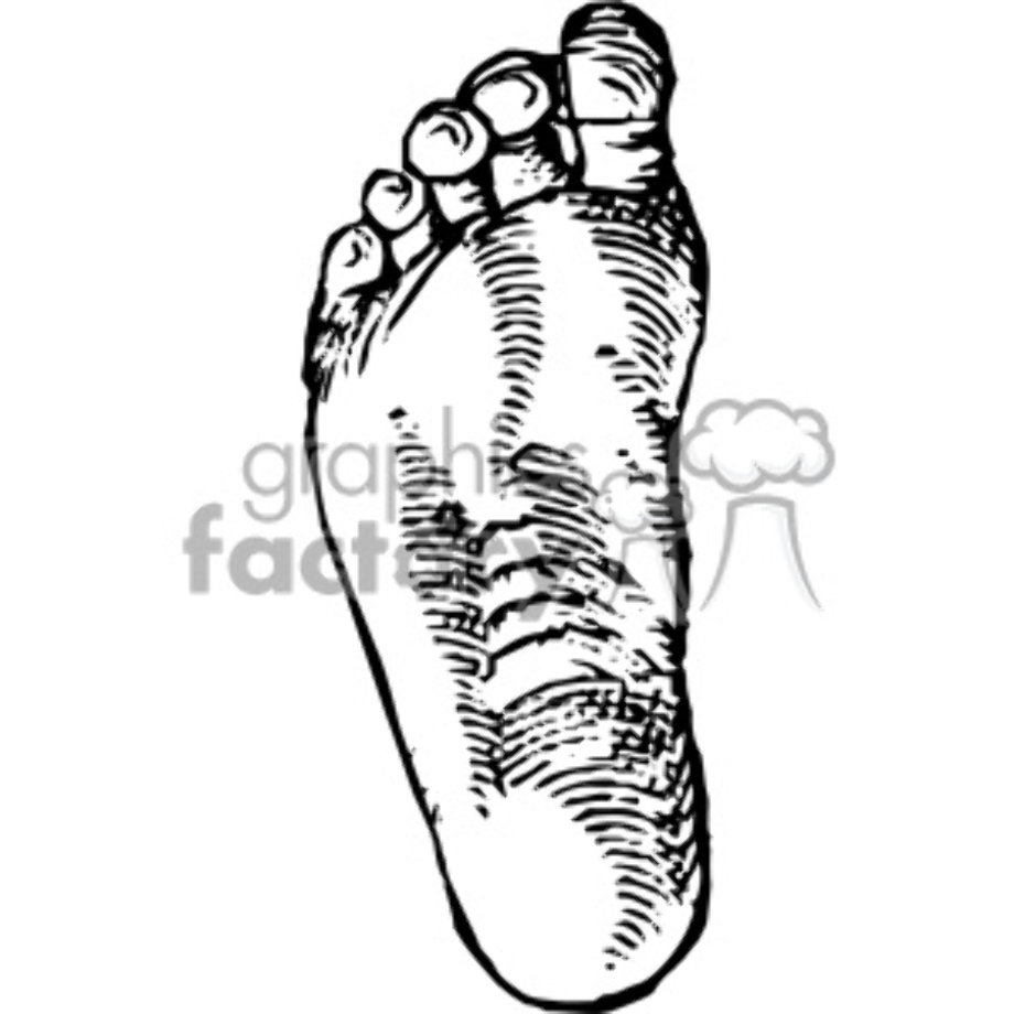 foot clipart bottom