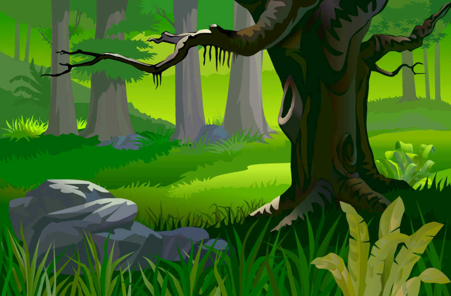 forest clipart background