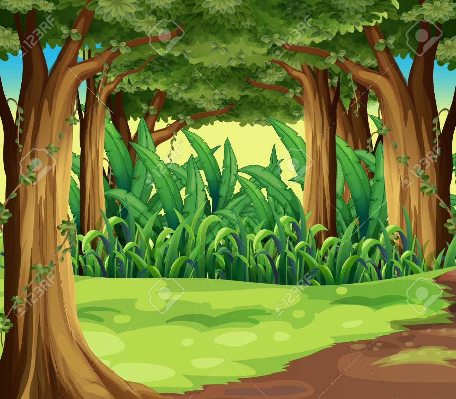 forest clipart woods