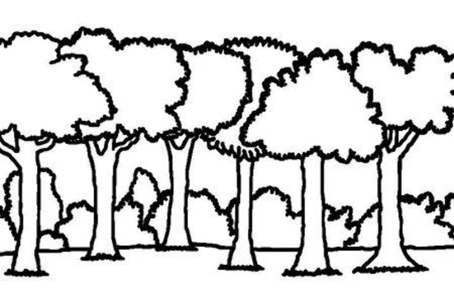 forest clipart black and white