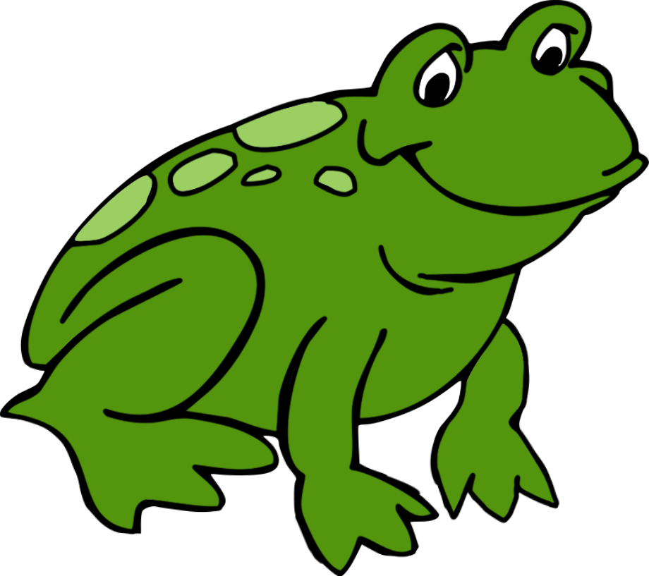 frog clipart colorful