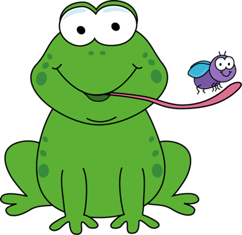 fly clipart frog