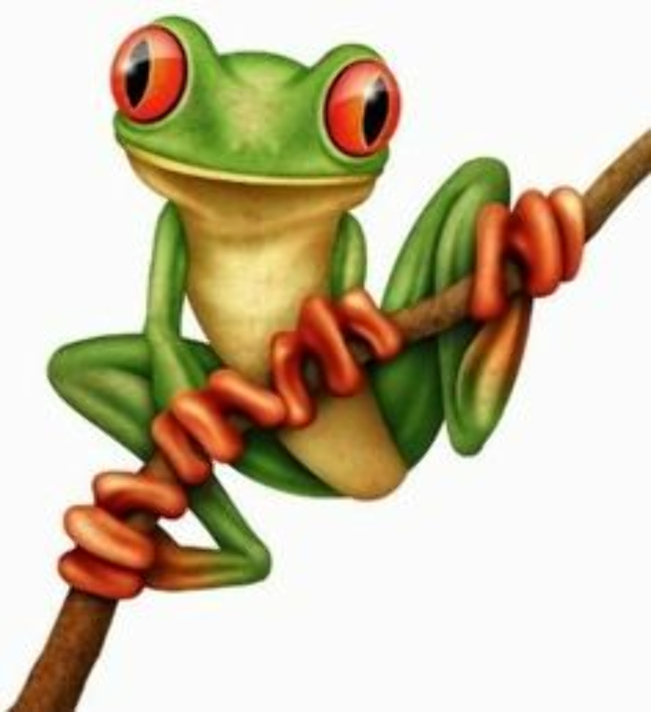 Download High Quality frog clipart colorful Transparent PNG Images