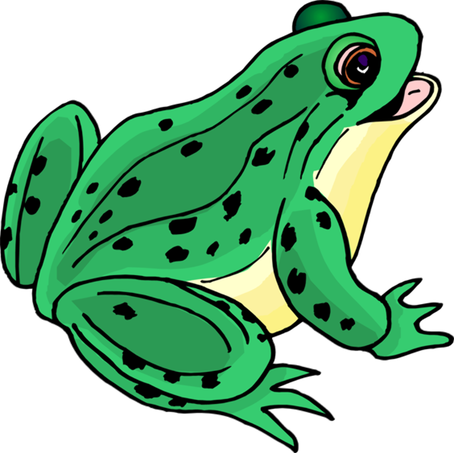 frog clipart blue
