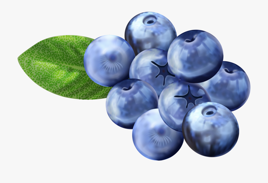 blueberry clipart fruit