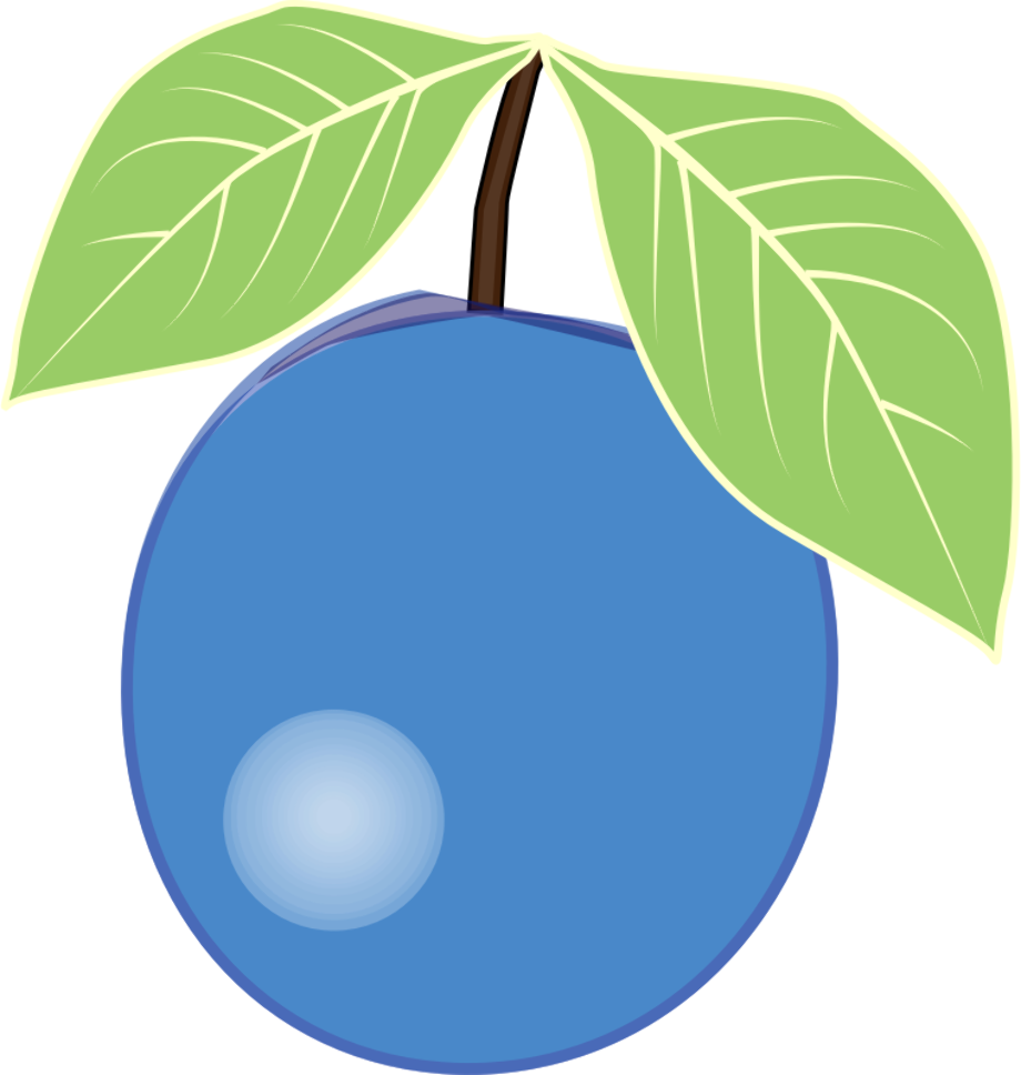 blueberry clipart simple