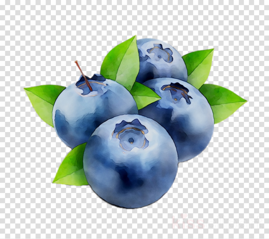 Download High Quality blueberry clipart blue Transparent PNG Images