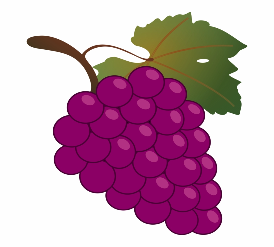 grape clipart fruit