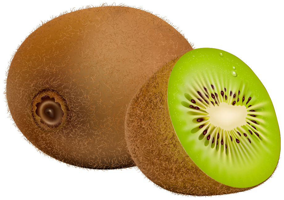 fruit clipart kiwi