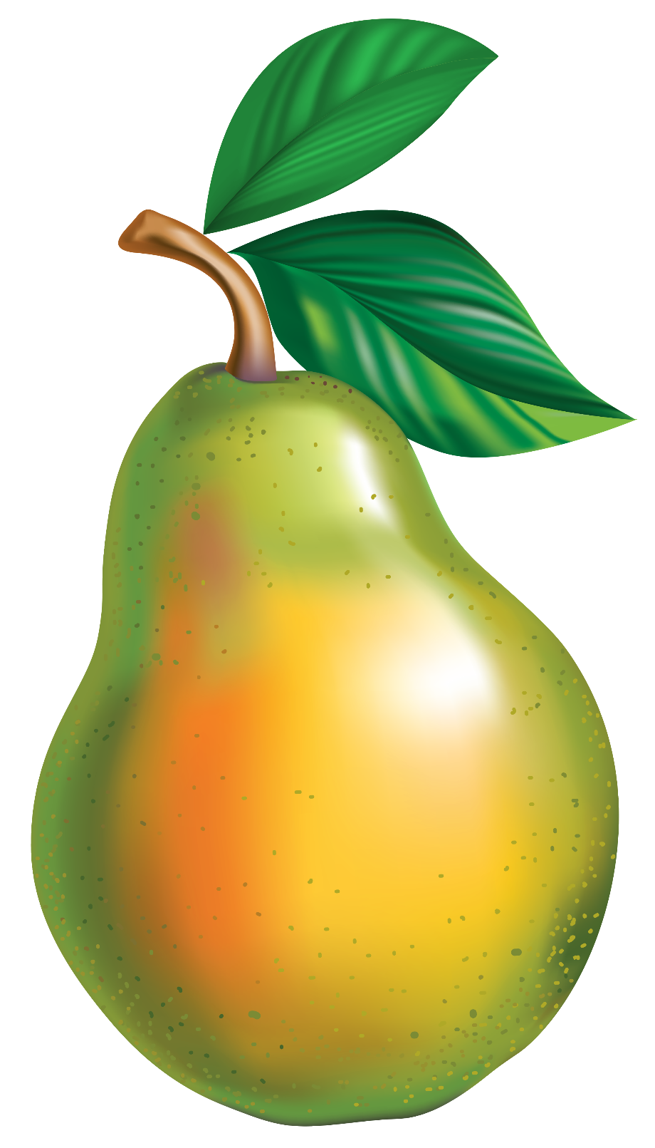 pear clipart transparent background