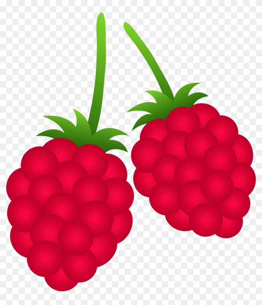 fruit clipart raspberry