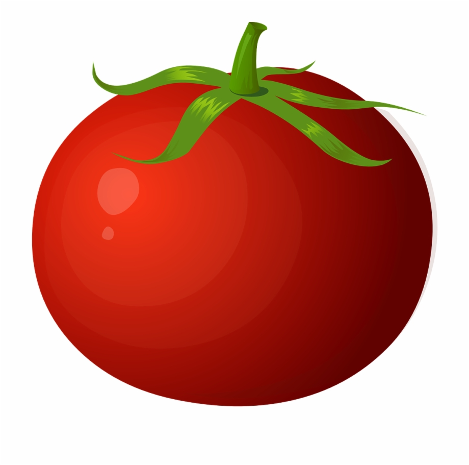 tomato clipart red