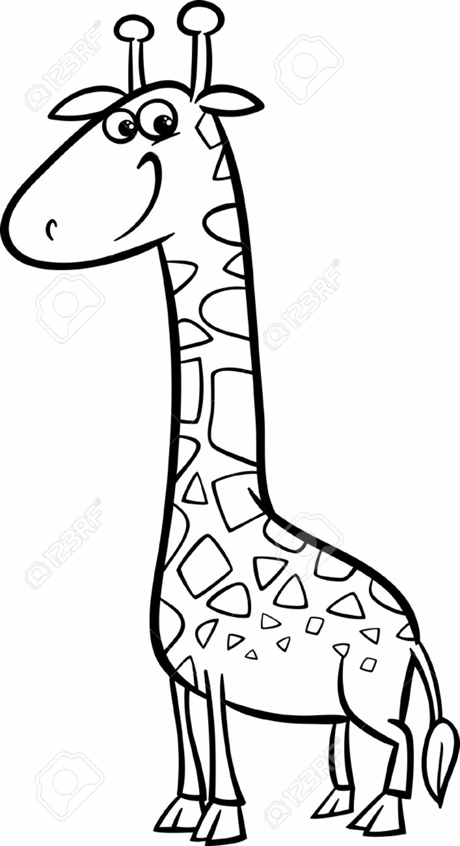 Download High Quality giraffe clipart black and white Transparent PNG