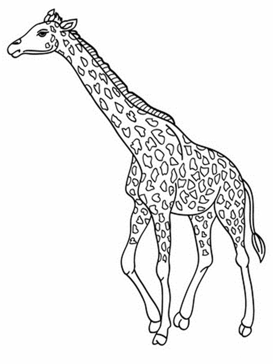 Download High Quality giraffe clipart coloring Transparent PNG Images