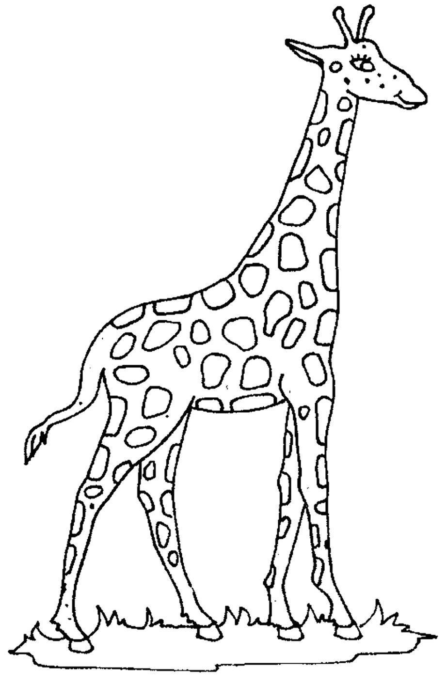 Download High Quality giraffe clipart coloring Transparent PNG Images