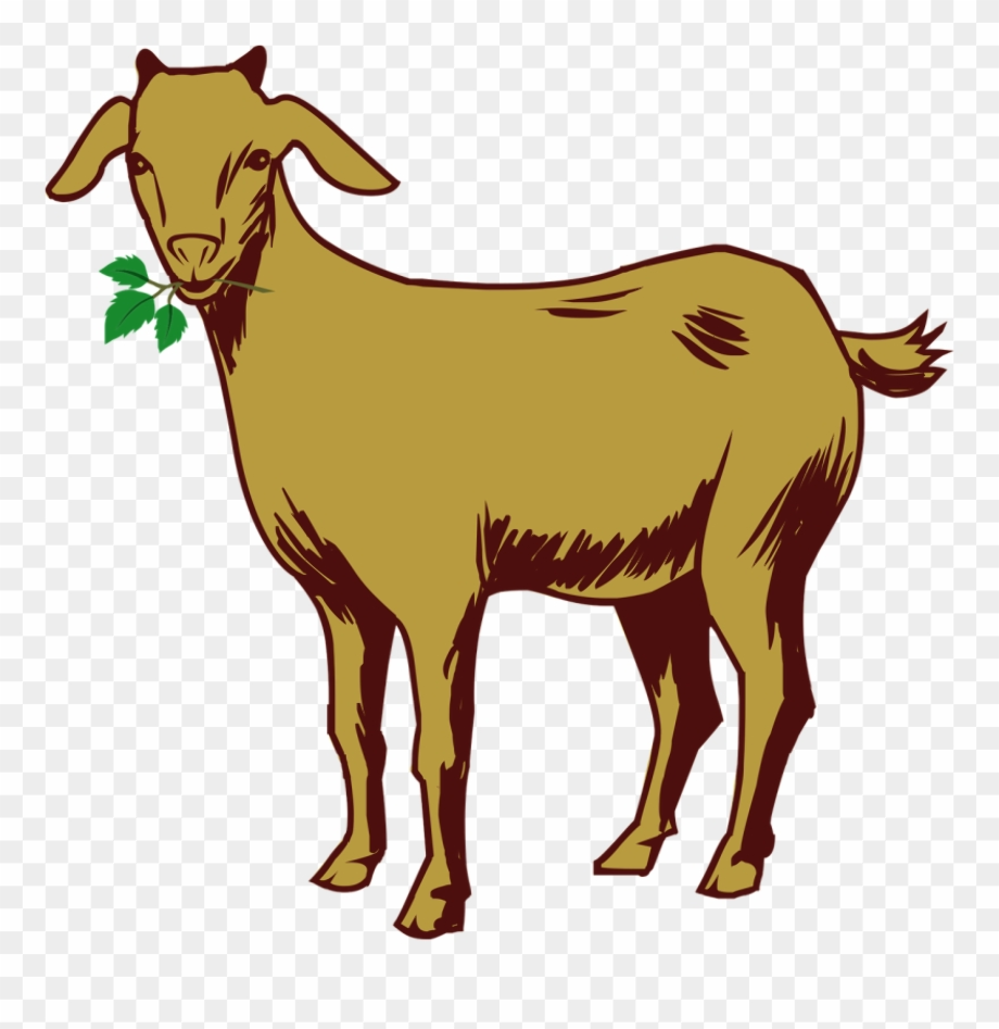 goat clipart transparent background