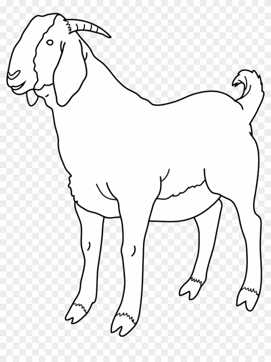 goat clipart transparent