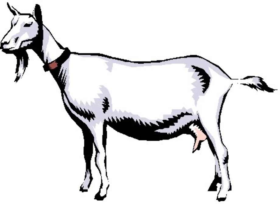 Download High Quality goat clipart dairy Transparent PNG Images - Art