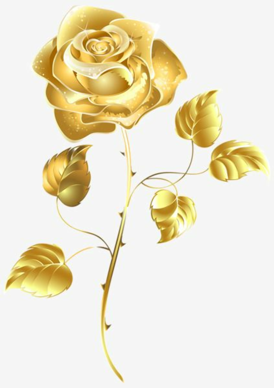 Download High Quality gold clipart color Transparent PNG Images - Art