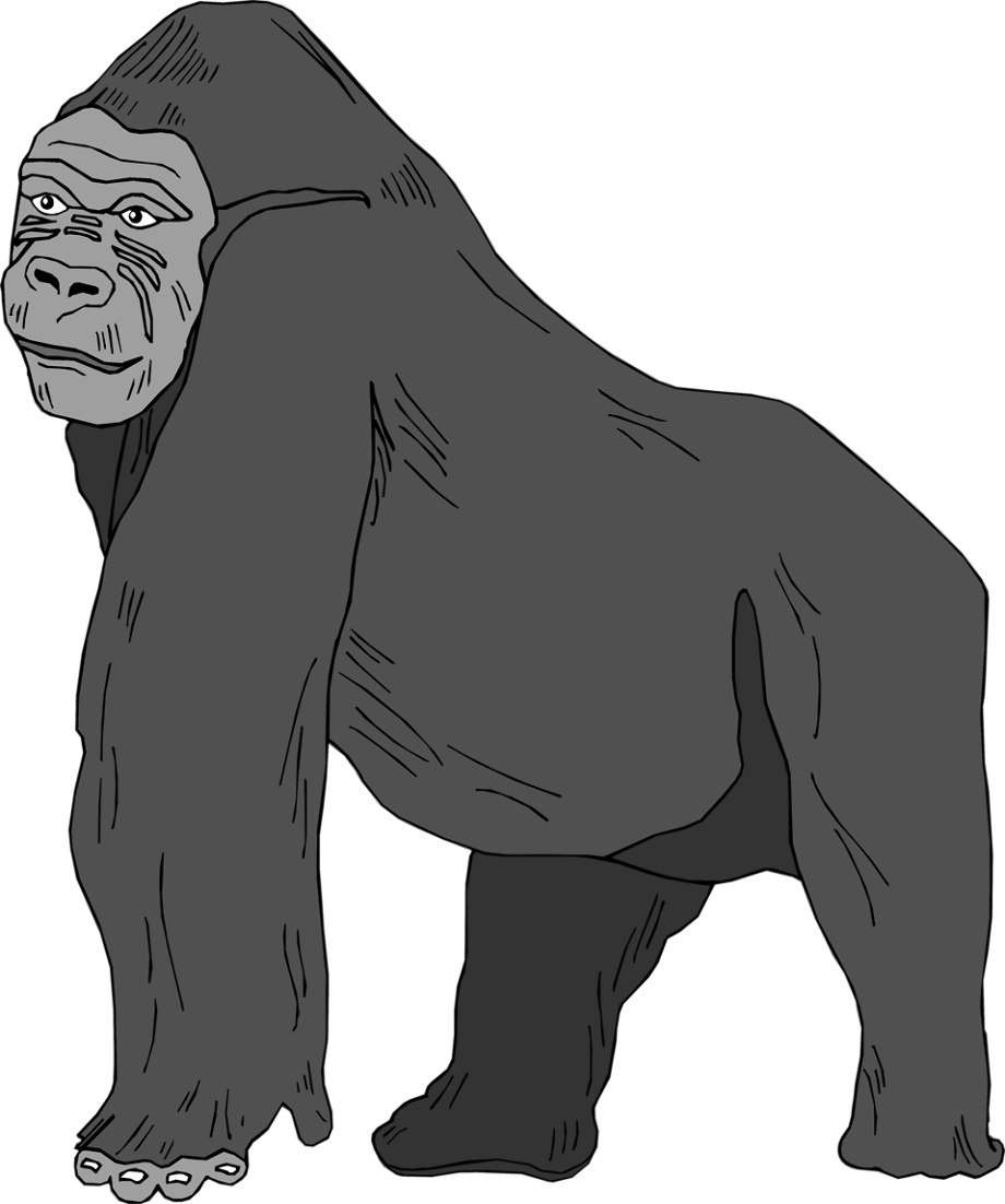 angry giant gorilla png