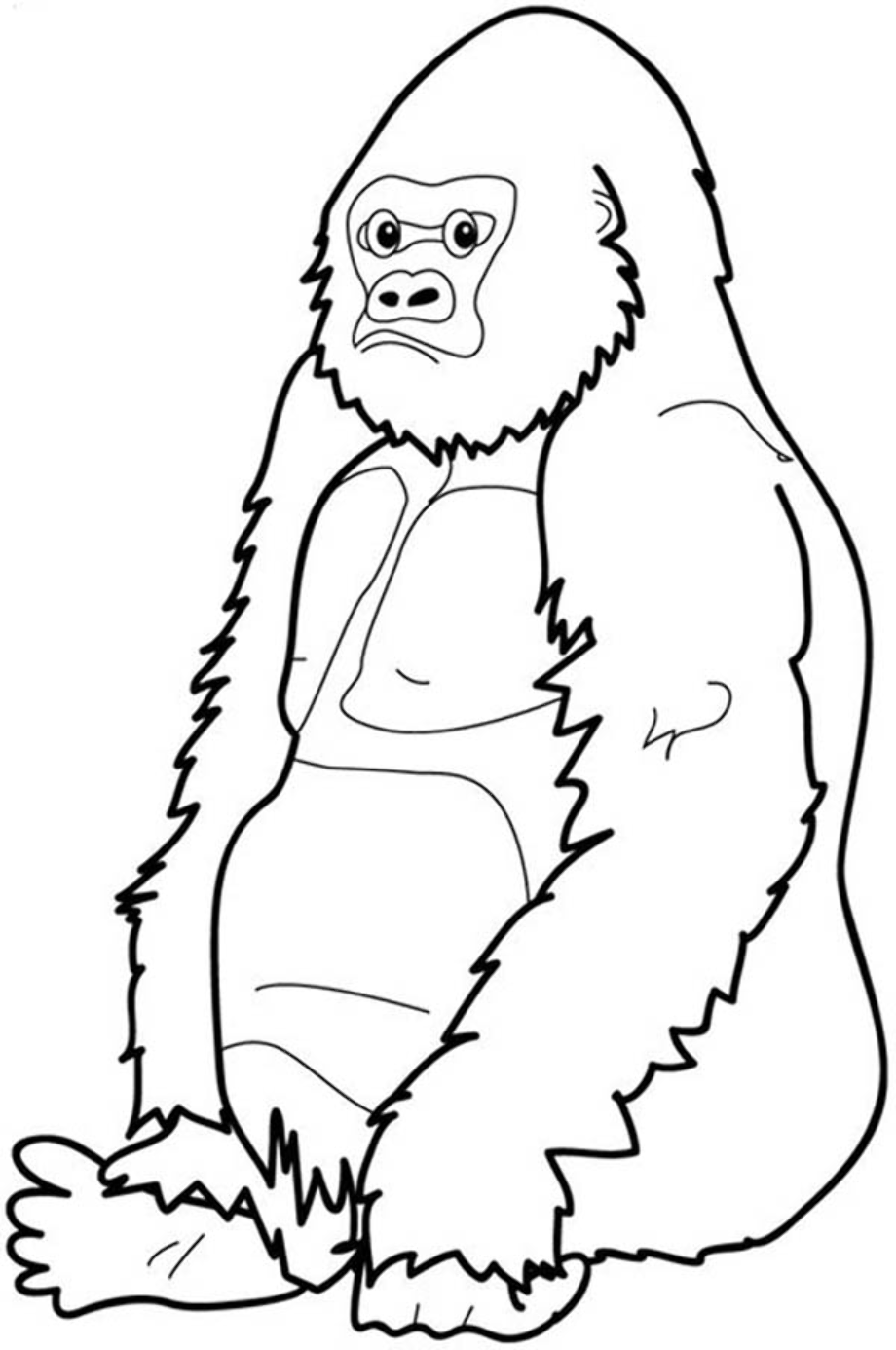 gorilla clipart sitting