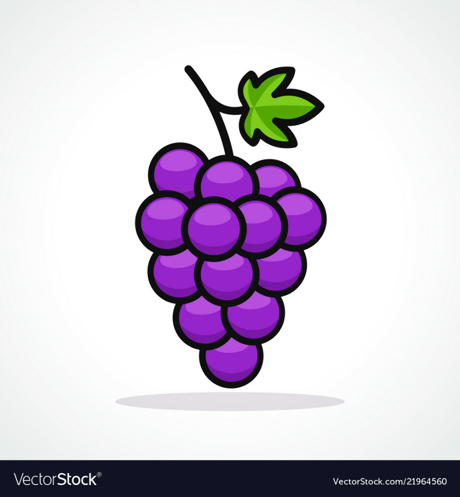 grape clipart vector