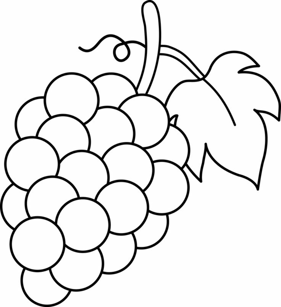grape clipart template