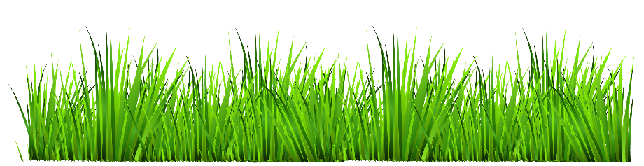 grass clipart