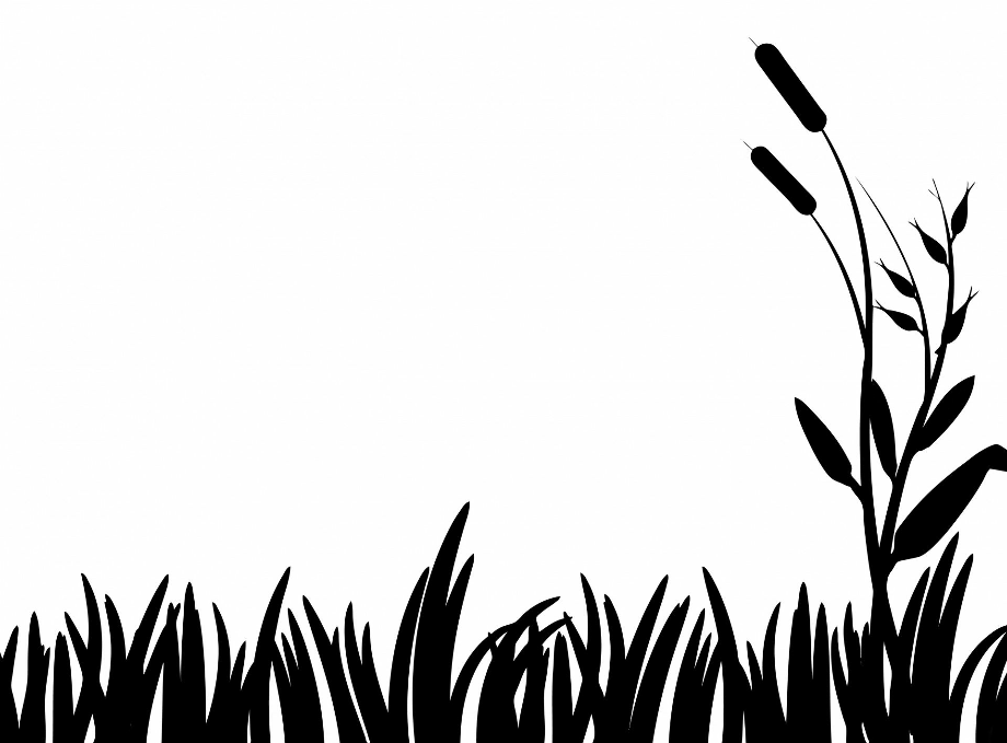 grass clipart silhouette