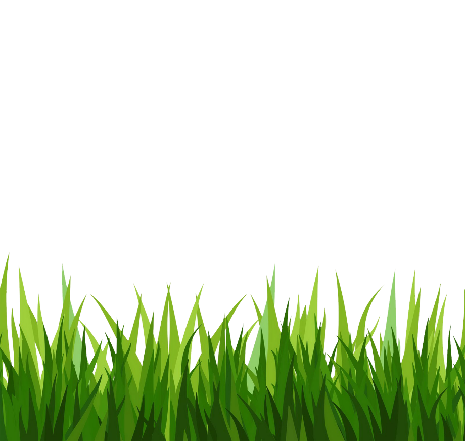 crossy road grass transparent crossy road grass background