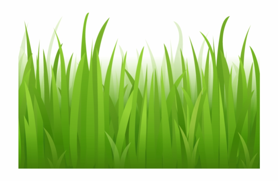 Download High Quality grass clipart jungle Transparent PNG Images - Art