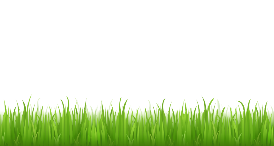 football field clipart grass