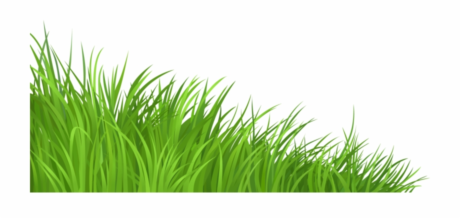 Download High Quality grass clipart transparent background Transparent